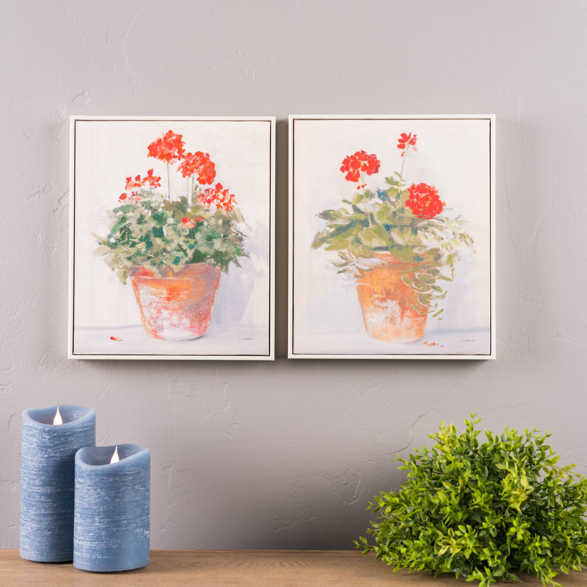 Framed Potted Geranium Print Set